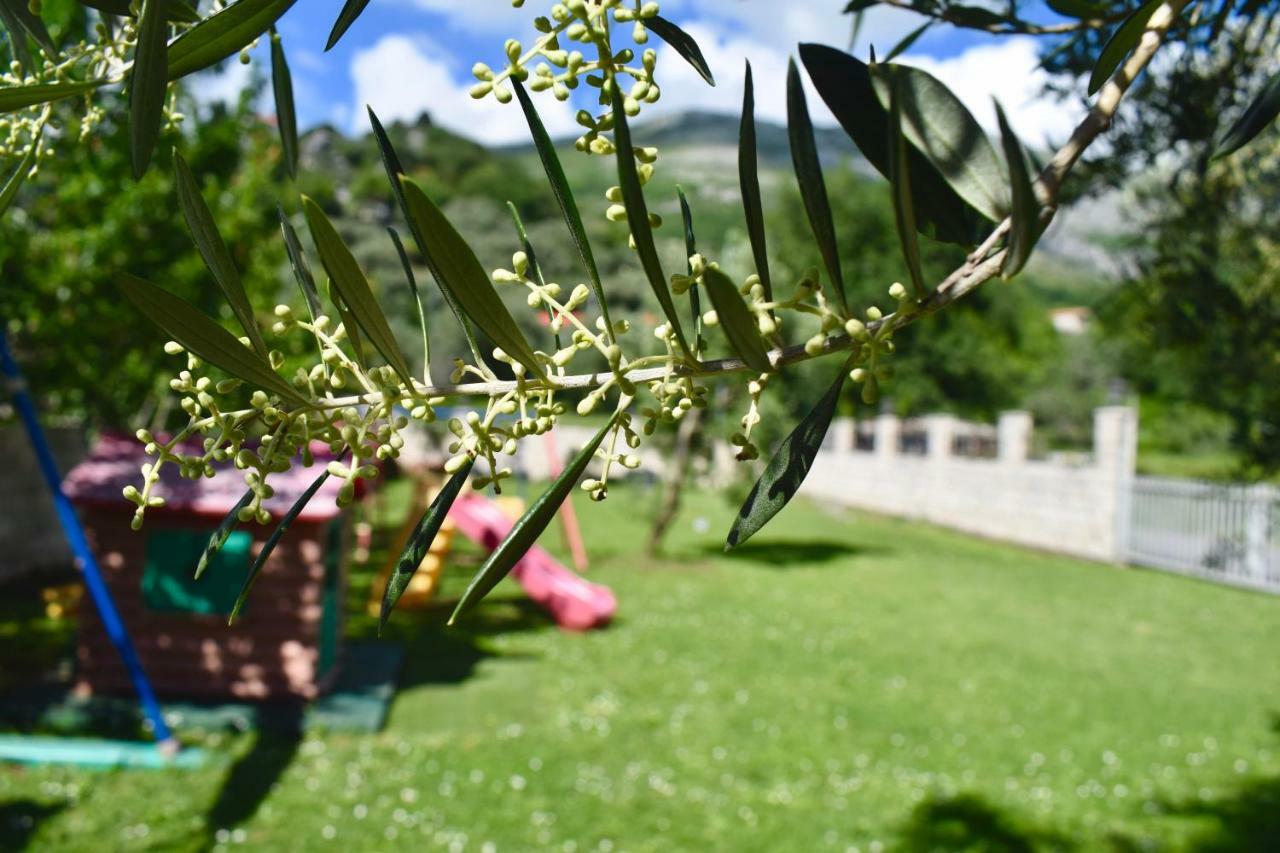 Villa Dolphin Apartments Petrovac Екстериор снимка
